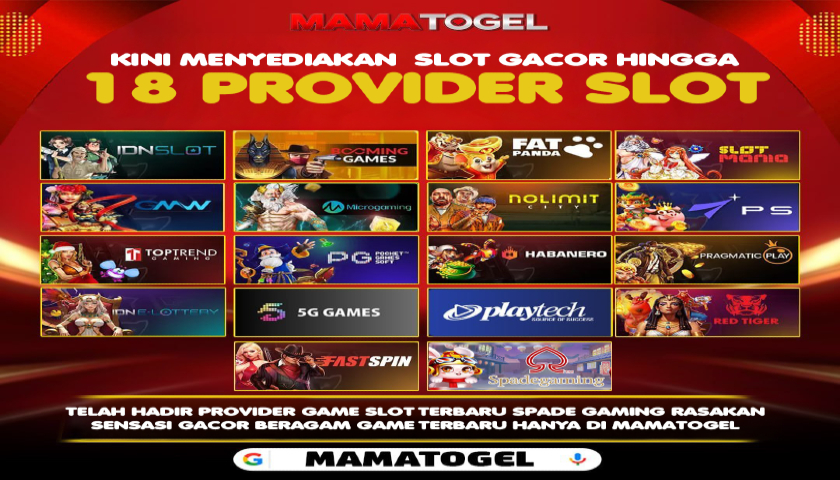 18 PROVIDER SLOT