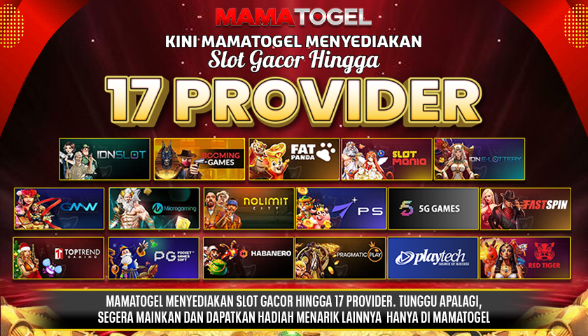 PROVIDER 17